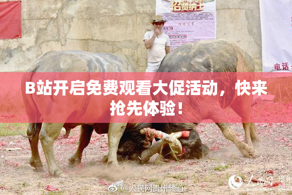 B站开启免费观看大促活动，快来抢先体验！