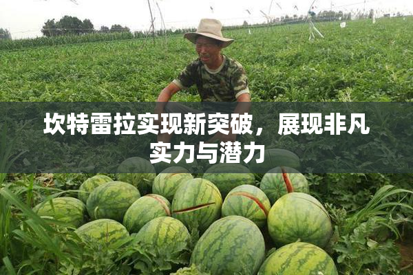 坎特雷拉实现新突破，展现非凡实力与潜力