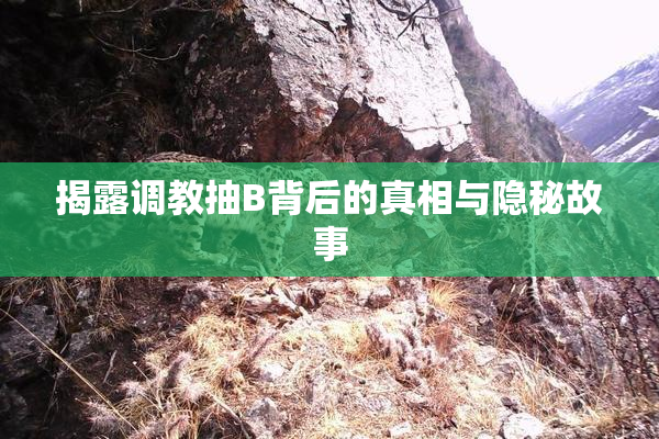 揭露调教抽B背后的真相与隐秘故事