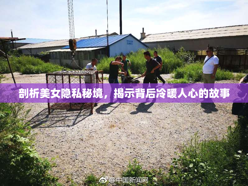 剖析美女隐私秘境，揭示背后冷暖人心的故事