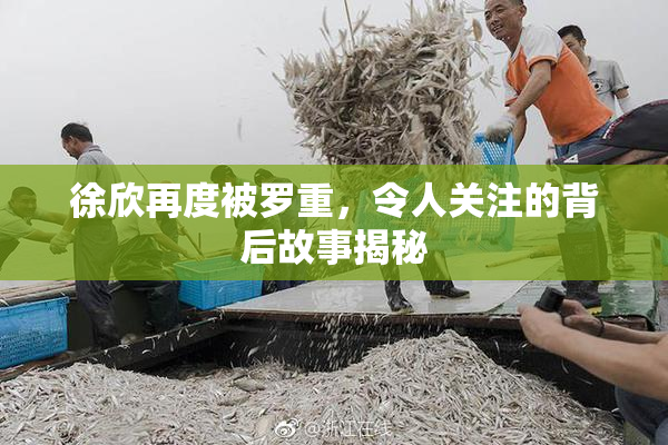 徐欣再度被罗重，令人关注的背后故事揭秘