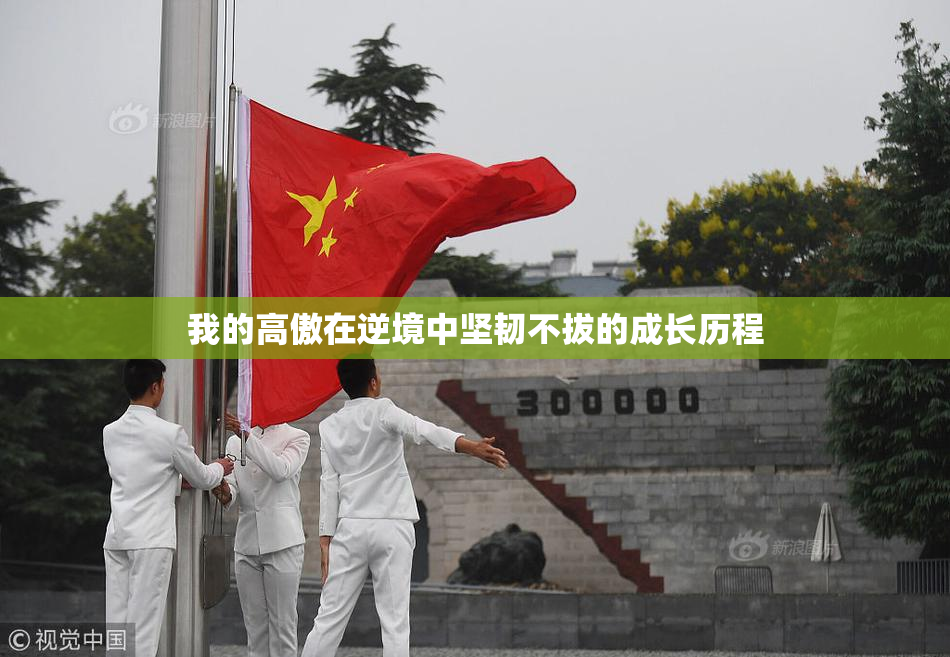 我的高傲在逆境中坚韧不拔的成长历程