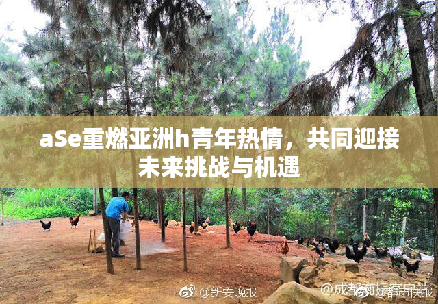 aSe重燃亚洲h青年热情，共同迎接未来挑战与机遇
