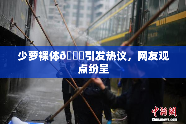 少萝裸体🔞引发热议，网友观点纷呈