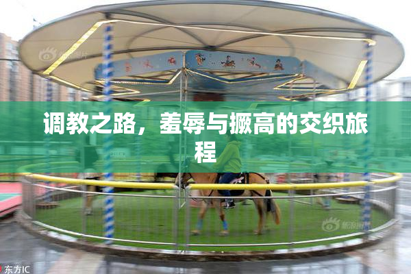 调教之路，羞辱与撅高的交织旅程