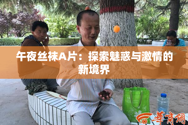 午夜丝袜A片：探索魅惑与激情的新境界