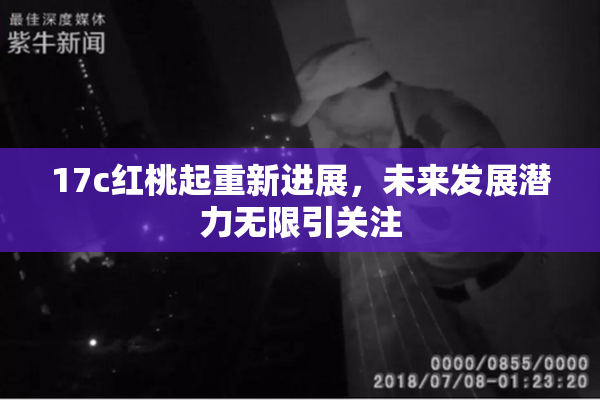 17c红桃起重新进展，未来发展潜力无限引关注
