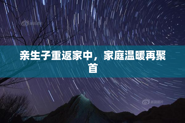 亲生子重返家中，家庭温暖再聚首