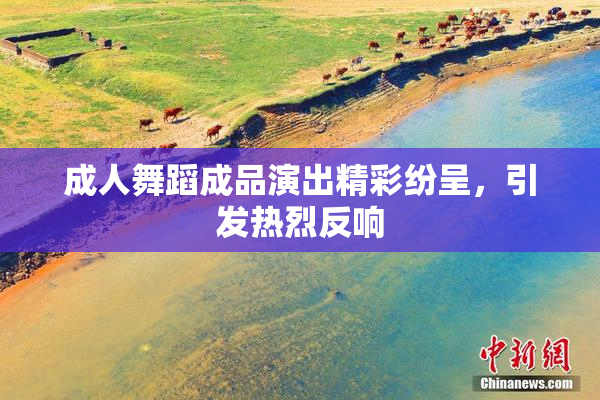 成人舞蹈成品演出精彩纷呈，引发热烈反响