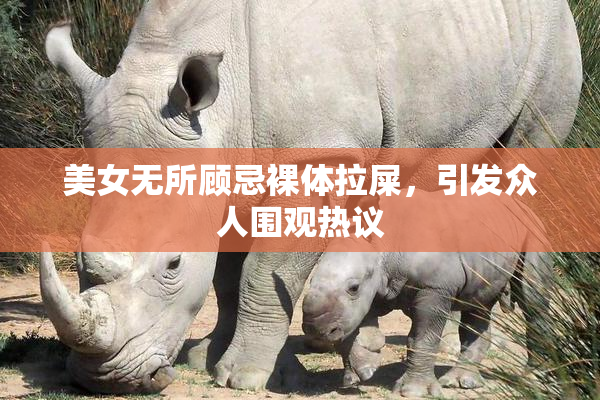 美女无所顾忌裸体拉屎，引发众人围观热议