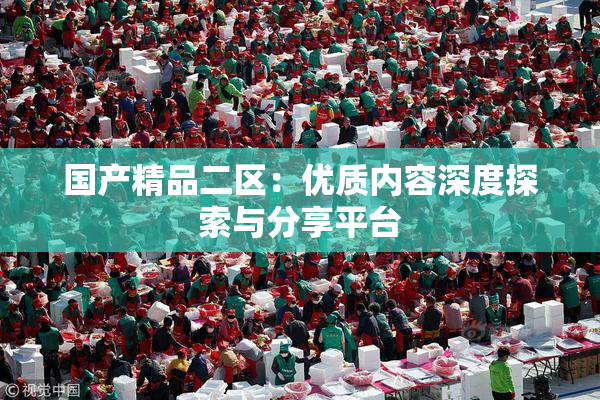 国产精品二区：优质内容深度探索与分享平台