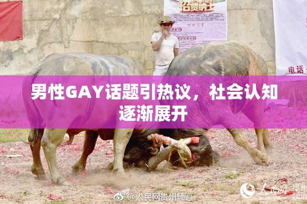 男性GAY话题引热议，社会认知逐渐展开