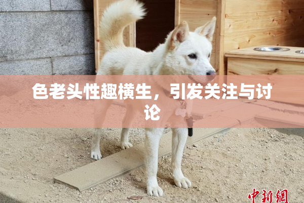 色老头性趣横生，引发关注与讨论