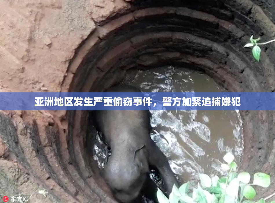 亚洲地区发生严重偷窃事件，警方加紧追捕嫌犯