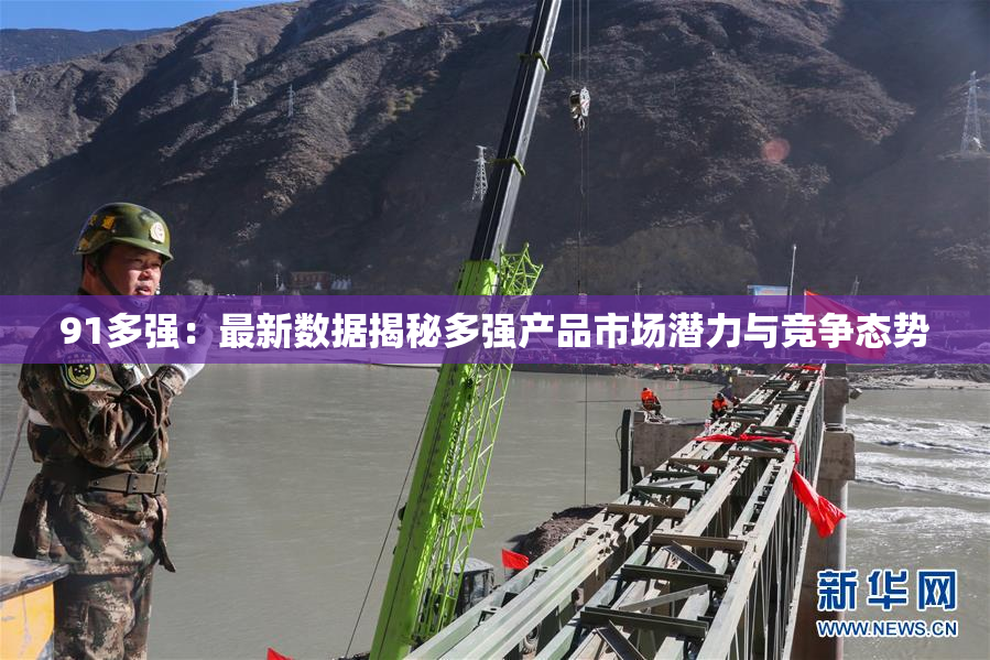 91多强：最新数据揭秘多强产品市场潜力与竞争态势