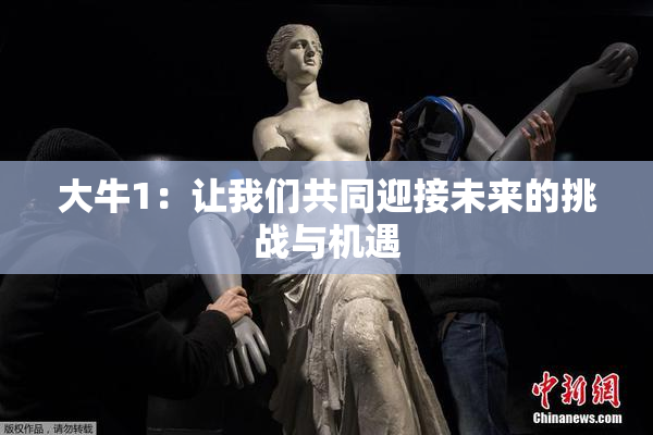 大牛1：让我们共同迎接未来的挑战与机遇