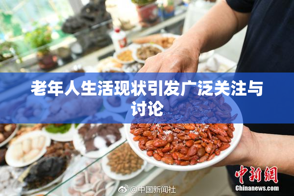 老年人生活现状引发广泛关注与讨论