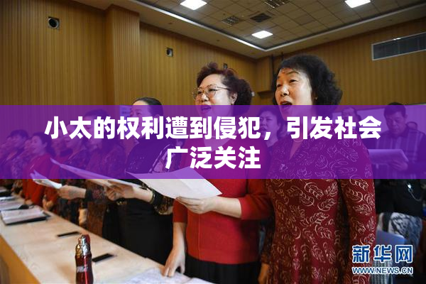 小太的权利遭到侵犯，引发社会广泛关注