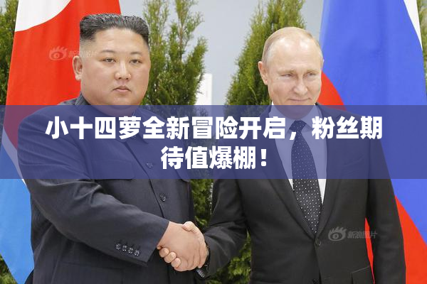 小十四萝全新冒险开启，粉丝期待值爆棚！