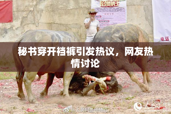 秘书穿开裆裤引发热议，网友热情讨论