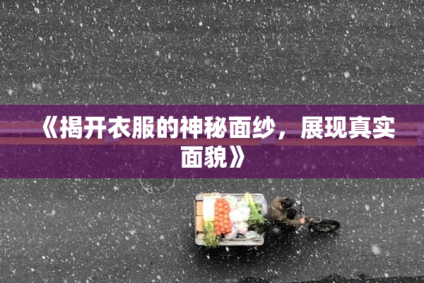 《揭开衣服的神秘面纱，展现真实面貌》