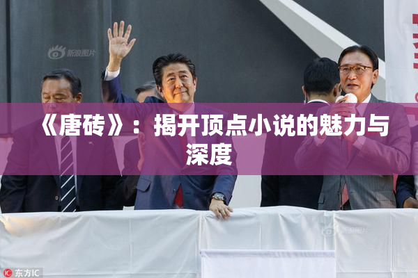 《唐砖》：揭开顶点小说的魅力与深度