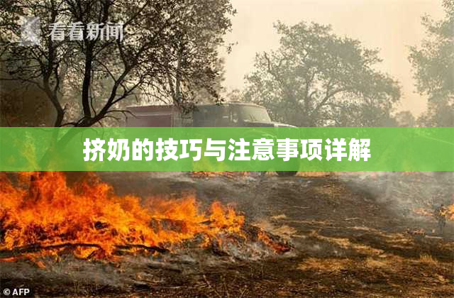 挤奶的技巧与注意事项详解