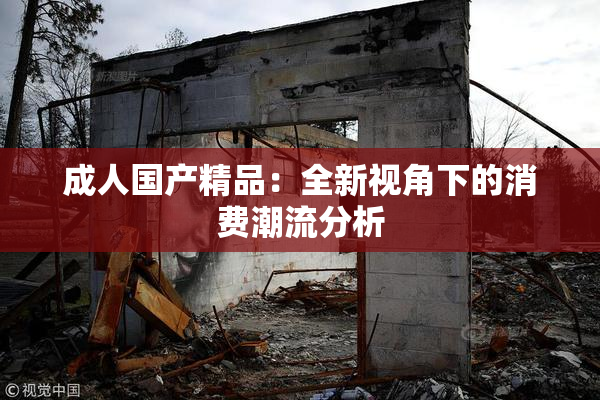 成人国产精品：全新视角下的消费潮流分析