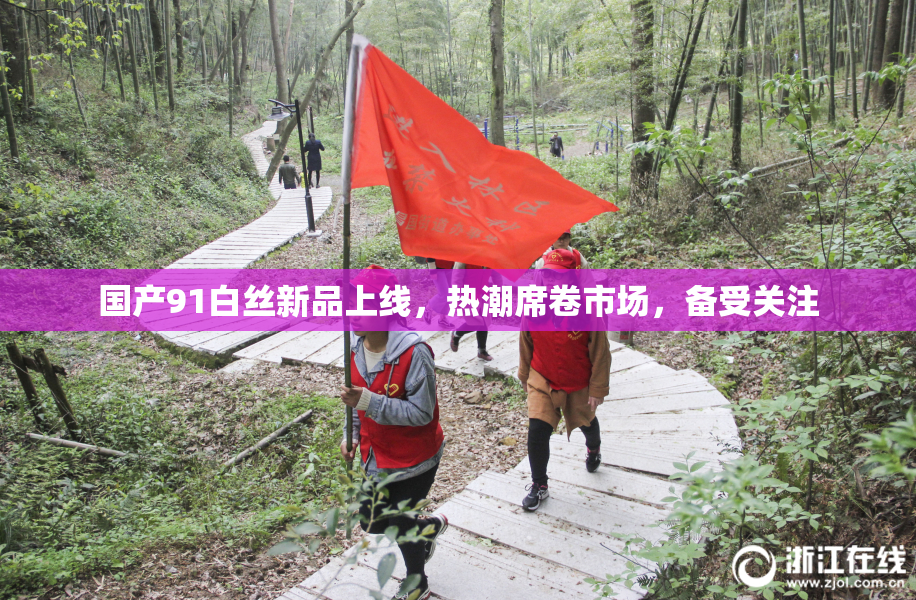 国产91白丝新品上线，热潮席卷市场，备受关注