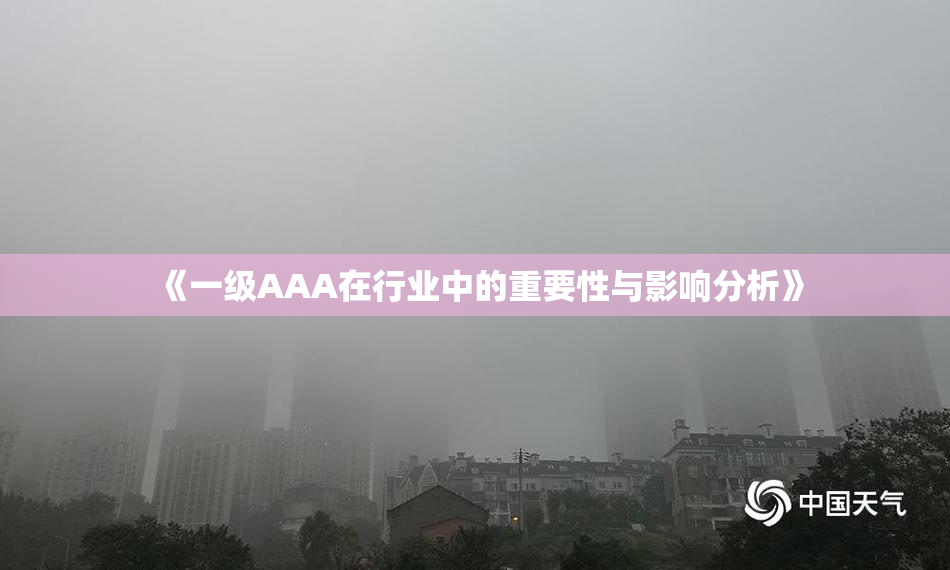 《一级AAA在行业中的重要性与影响分析》