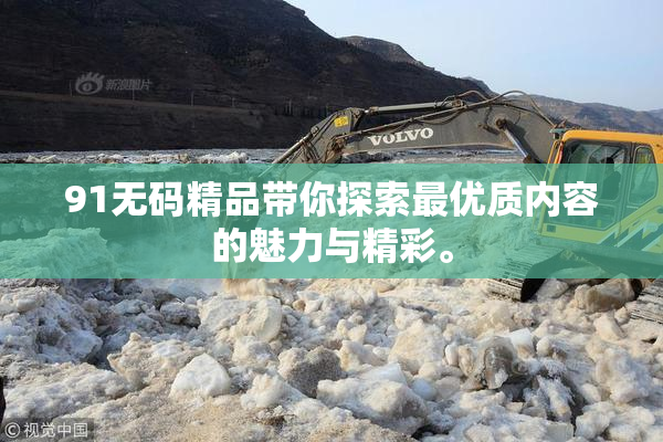 91无码精品带你探索最优质内容的魅力与精彩。