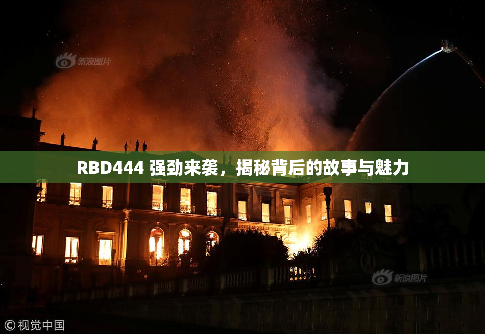 RBD444 强劲来袭，揭秘背后的故事与魅力
