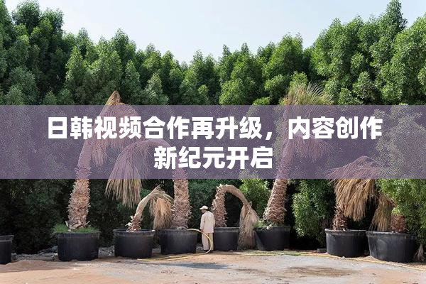 日韩视频合作再升级，内容创作新纪元开启