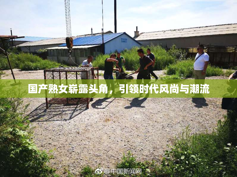 国产熟女崭露头角，引领时代风尚与潮流