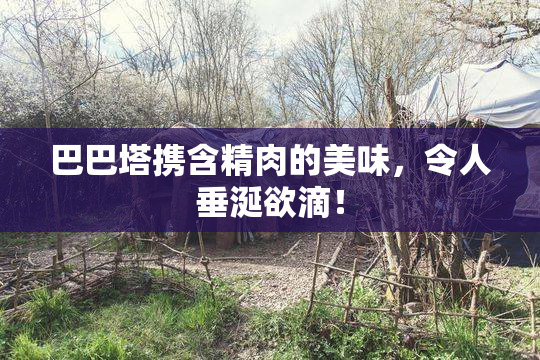 巴巴塔携含精肉的美味，令人垂涎欲滴！