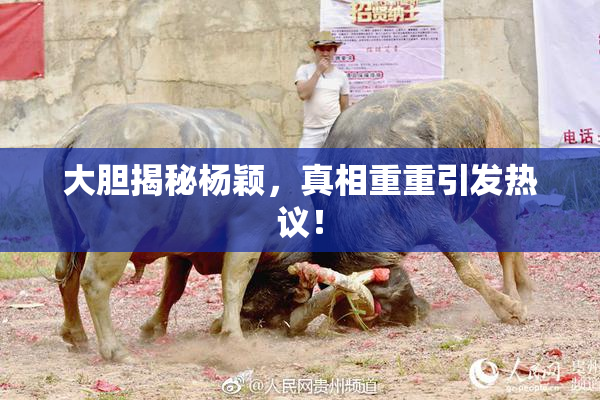 大胆揭秘杨颖，真相重重引发热议！