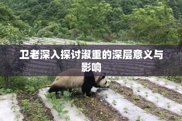 卫老深入探讨淑重的深层意义与影响