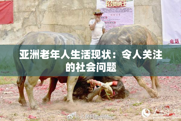 亚洲老年人生活现状：令人关注的社会问题