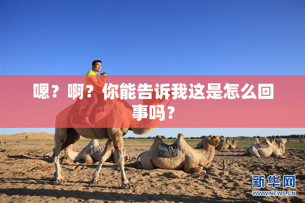 嗯？啊？你能告诉我这是怎么回事吗？