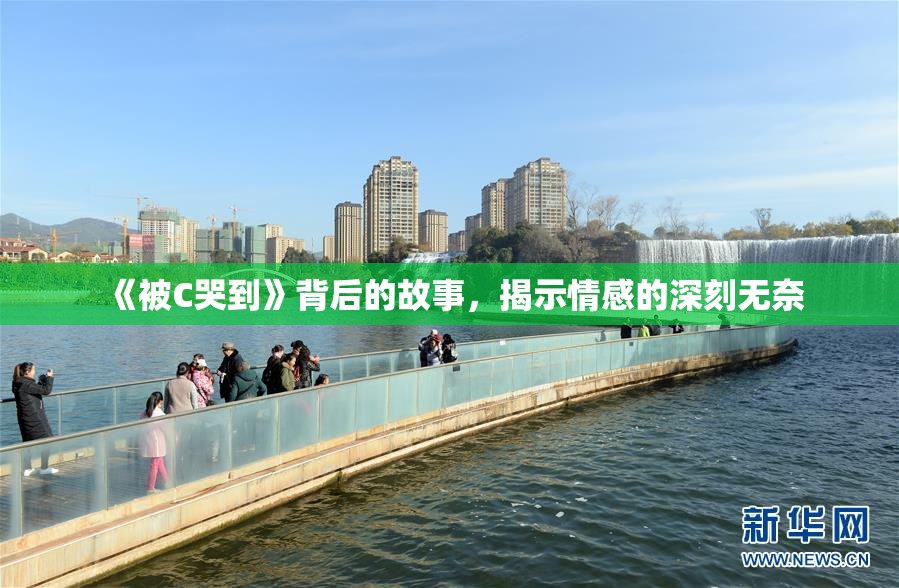 《被C哭到》背后的故事，揭示情感的深刻无奈