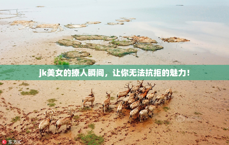 jk美女的撩人瞬间，让你无法抗拒的魅力！