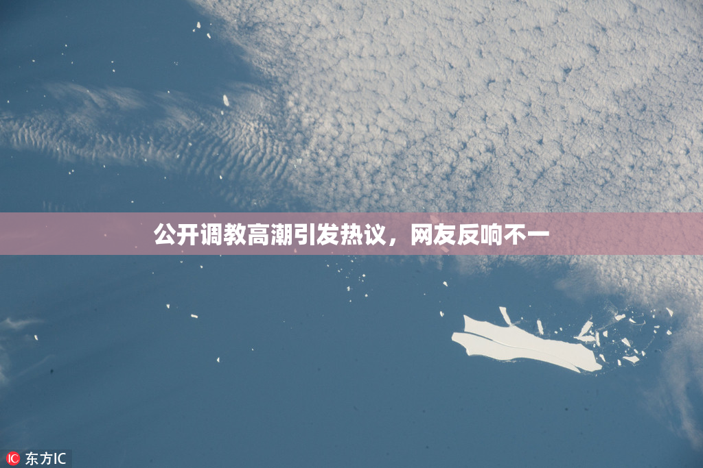 公开调教高潮引发热议，网友反响不一