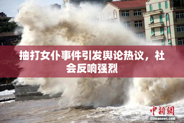 抽打女仆事件引发舆论热议，社会反响强烈