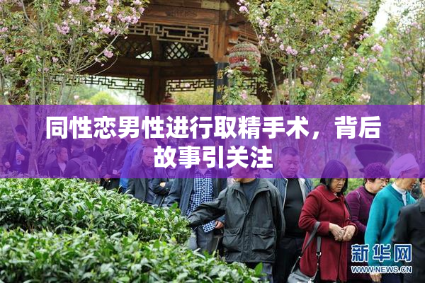 同性恋男性进行取精手术，背后故事引关注