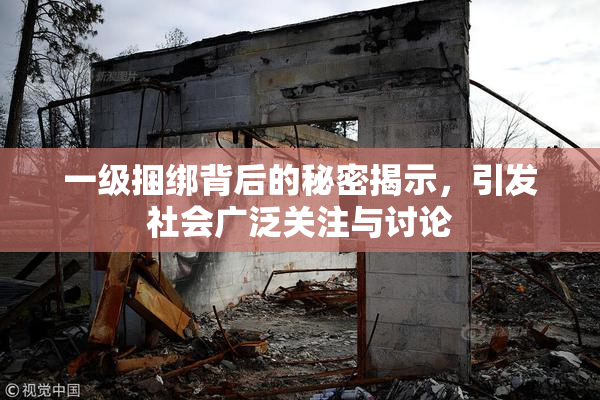 一级捆绑背后的秘密揭示，引发社会广泛关注与讨论