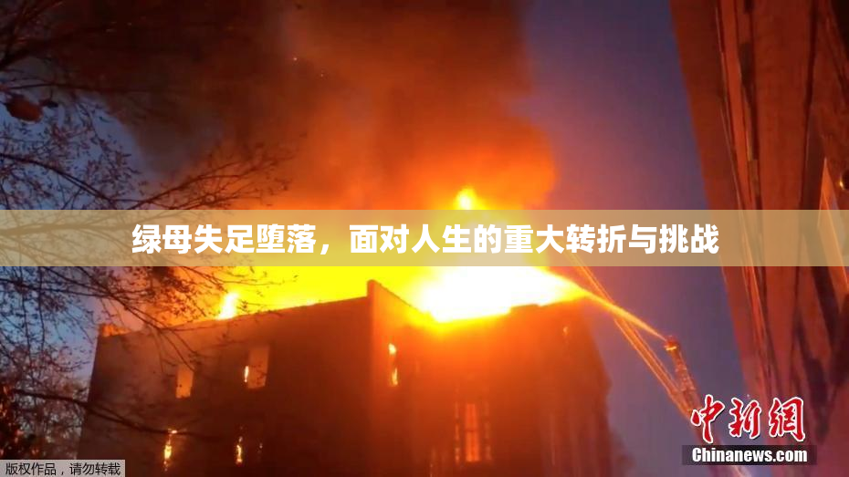 绿母失足堕落，面对人生的重大转折与挑战