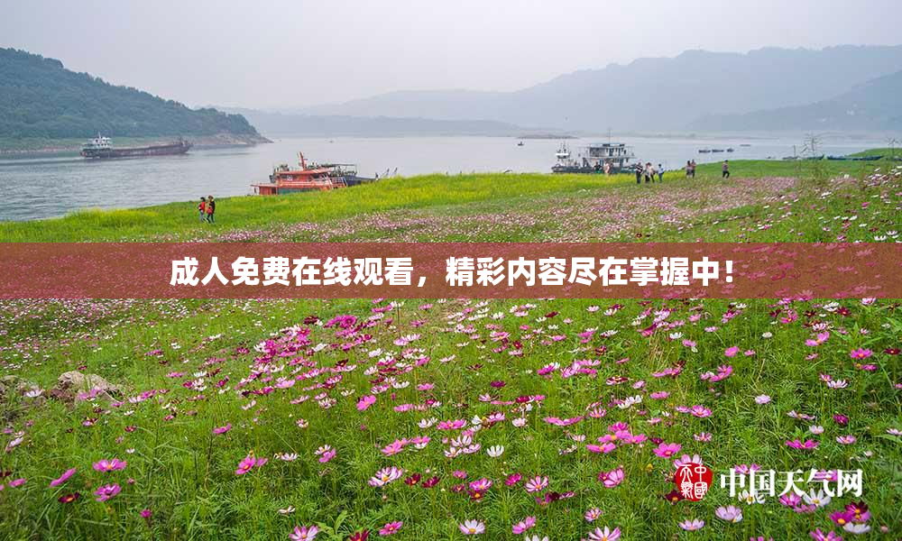成人免费在线观看，精彩内容尽在掌握中！