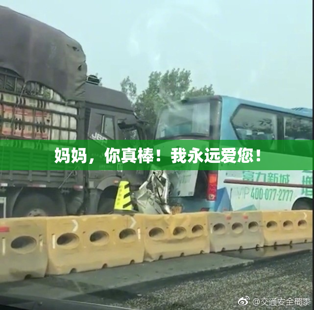 妈妈，你真棒！我永远爱您！