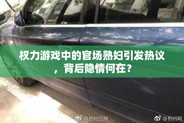 权力游戏中的官场熟妇引发热议，背后隐情何在？