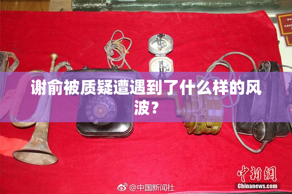 谢俞被质疑遭遇到了什么样的风波？